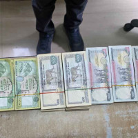 अपाङ्गतामैत्री संरचना निर्माण गर्न माग