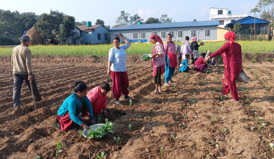 आगलागीमा घाइते भएका शरदलाई लगियो काठमाडौं