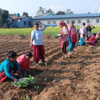 लुम्बिनी प्रदेशको बजेट ३८ अर्ब ९७ करोड