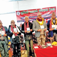 सुरक्षा प्रत्याभूति माग