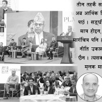 नेप्से १३ दशमलव ६९ अङ्कले घट्यो