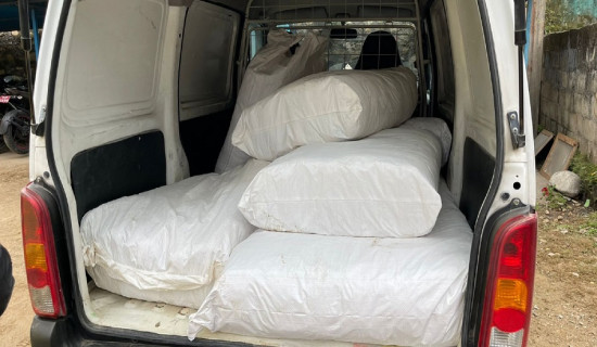 करिब १३ लाख बराबरको अवैध सुर्ती बरामद