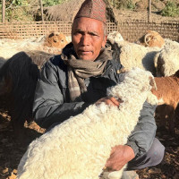 औषधि मूल्य नीति सहमतिमा बनाइएको हो : महानिर्देशक ढकाल