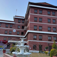 चियाका बोट काँटछाँट गरिँदै