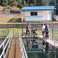 गोलभेँडा बेचेर वार्षिक सात लाख मुनाफा