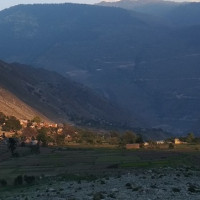 चालु आर्थिक वर्षमा धानको उत्पादन पाँच प्रतिशत बढ्यो