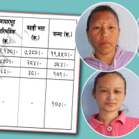 फलफूलको बगैँचा व्यवस्थापनमा किसान व्यस्त