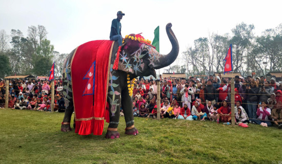 चितवनको पर्याय ‘हात्ती तथा पर्यटन महोत्सव’