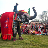 यस्तो छ बुधबारका लागि विदेशी मुद्राको विनिमय दर