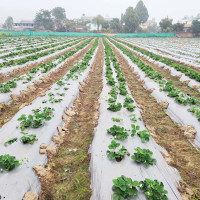 हरित विश्व अवधारणामा नेपालको ऐक्यबद्धता