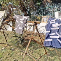 बाह्र जिल्ला,एक निरीक्षक