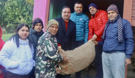 कृषकलाई आलुको बीउ वितरण