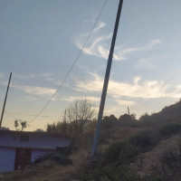 लाछीका चार कृति सार्वजनिक