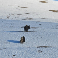 प्रधानमन्त्रीसँग डा.राउतको भेट : आपसी सहकार्यका विषयमा छलफल