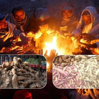 समावेशीकरणको दिशामा नयाँ फड्को : गोरखापत्रद्वारा प्रकाशित बान्तावा भाषा