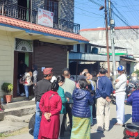 चरन क्षेत्र हिउँले छपक्कै पुरियो, चौरीलाई बस्तीमा झारियो