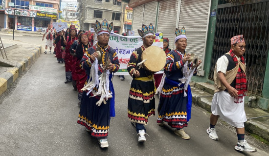 दमौलीमा तमु ल्होसारको रौनक