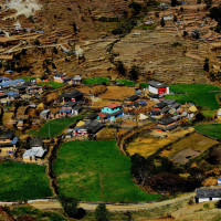 नेपालगन्ज भन्सारः पाँच महिनामा सात अर्ब ६५ करोड बढी राजस्व सङ्कलन