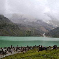 झण्डै ५२ करोडभन्दा  बढी  भ्रष्टाचारको अभियोगसहित मुद्दा दायर