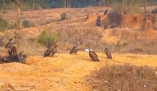 बर्दिवास भूगोल ‘पार्क’ बन्ने अपार सम्भावना बोकेको क्षेत्र