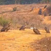 ‘आँखालाई माया गर्नुहोस्’ लोकार्पण