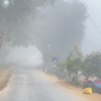 पोखराको लिचीबारी जग्गा प्रकरण : कोमाथि के आरोप, घटना के हो  ?