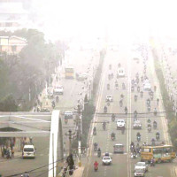 दैनिक चार सयले लगाउँछन् टेकुमा रेबिजविरुद्धको खोप