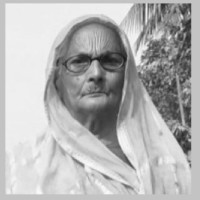 पूर्व–पश्चिम राजमार्ग : तीन वर्षमा एघार किमी विस्तार