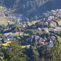 बन्दीपुरमा पर्यटन प्रवर्धनका लागि एक हजार कलाकारको कौरा प्रदर्शन