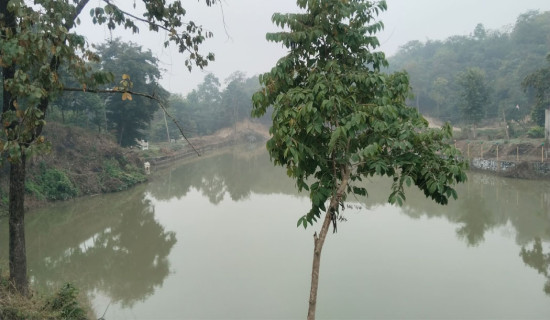 पर्यटकीय गन्तव्य बन्दै झ्वाइ खोल्सी