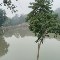 कहिले हुन्छ, नाग्म गमगढी सडक कालोपत्रे