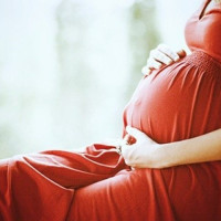 अर्थतन्त्र अझै दबाबमुक्त छैन : प्रधानमन्त्री प्रचण्ड