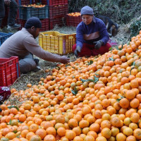 बिल बिना १४ लाख ९७ हजार बराबरको सामान बरामद