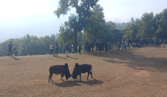 नेपाल–भारत पूर्वी सीमा बन्द