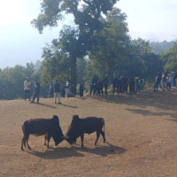 ‘छेपारे गाउँपुग्दा सग्लो घर थिएन’