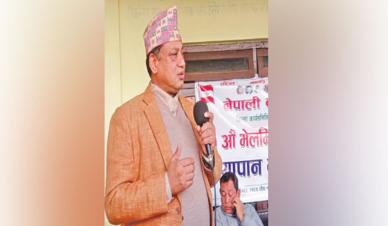 निर्वाचनमा सहयोग गर्न प्रतिबद्ध