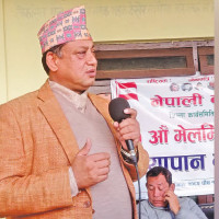 दस वर्षमा पाँच प्रतिशत काम