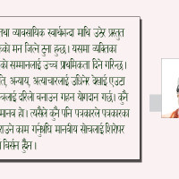 भोजपुरको आमचोकको चौध सय रोपनीमा चियाखेती