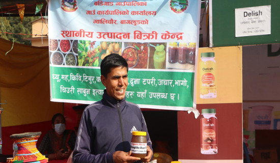 विदेशमा हण्डर खाएपछि गाउँ फर्किएका लोकबहादुर मौरीपालनमा