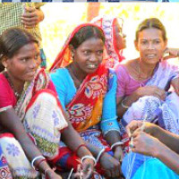 जानकी नगरमा हात्ती आतङ्क