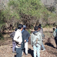 चिनियाँ पर्यटक बढाउन कार्यक्रम