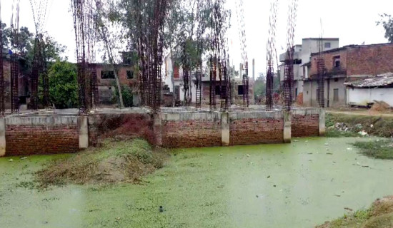 दीर्घकालीन विकासका लागि राष्ट्रिय सहमति आवश्यक : राज्यमन्त्री श्रीपाली