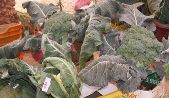 रिडीमा कृषि मेला प्रदर्शनी हुने