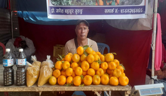 जिल्ला प्रशासनमा राष्ट्रिय परिचयपत्रको फारम निःशुल्क भर्न सुरु