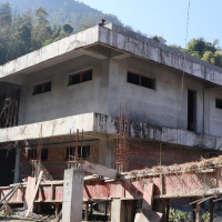 बजेटको प्राथमिकतामा हिंसा पीडित महिला