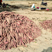 अपरिचित समूहको गोलीबाट साहको मृत्यु : सुनसरीमा तनाव, राजमार्ग अवरुद्ध