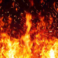 अर्थतन्त्र चलायमान बनाउन सबैले जिम्मेवारी वहन गरौँः अध्यक्ष ढकाल