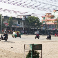 राप्ती नदीको बगरमा सखरखण्डको खेती गर्ने बढे