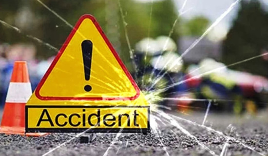 पाकिस्तानको पन्जाबमा भएको सडक दुर्घटनामा १४ जनाको मृत्यु, १६ घाइते