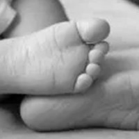 सल्लाघारीमा तीन लाख बढी मास उतार्ने तयारी